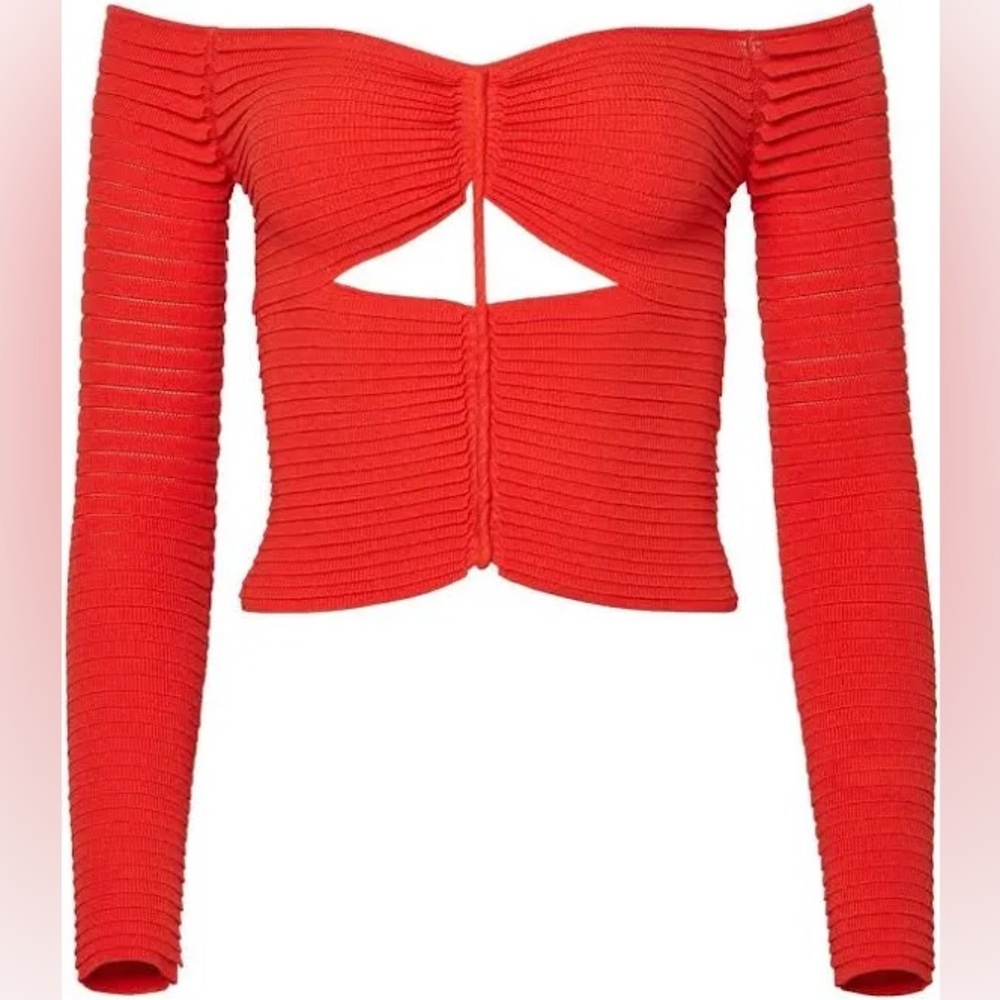Never worn Altuzarra sweater